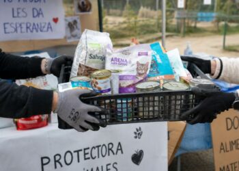 El CIMPA llama a donar alimentos y material básico para los animales afectados por los incendios