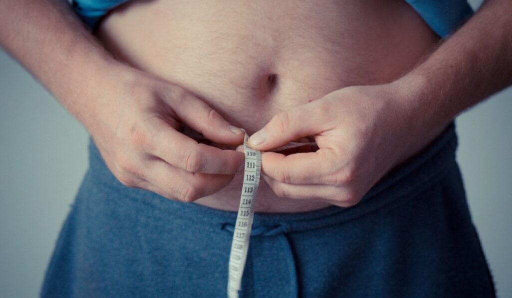 IMDEA identifica patrones de la microbiota intestinal asociados a una mejor salud metabólica en personas con obesidad 1 Estudio microbiota