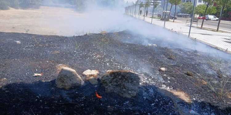 La Policía Municipal contiene un incendio en una parcela de Espartales Norte hasta la llegada de los Bomberos 1 Fuente: RRSS Espartales Unidos