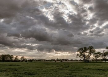 El Ayuntamiento cierra los parques desde las 14:00 por el aviso de tormentas y altas temperaturas