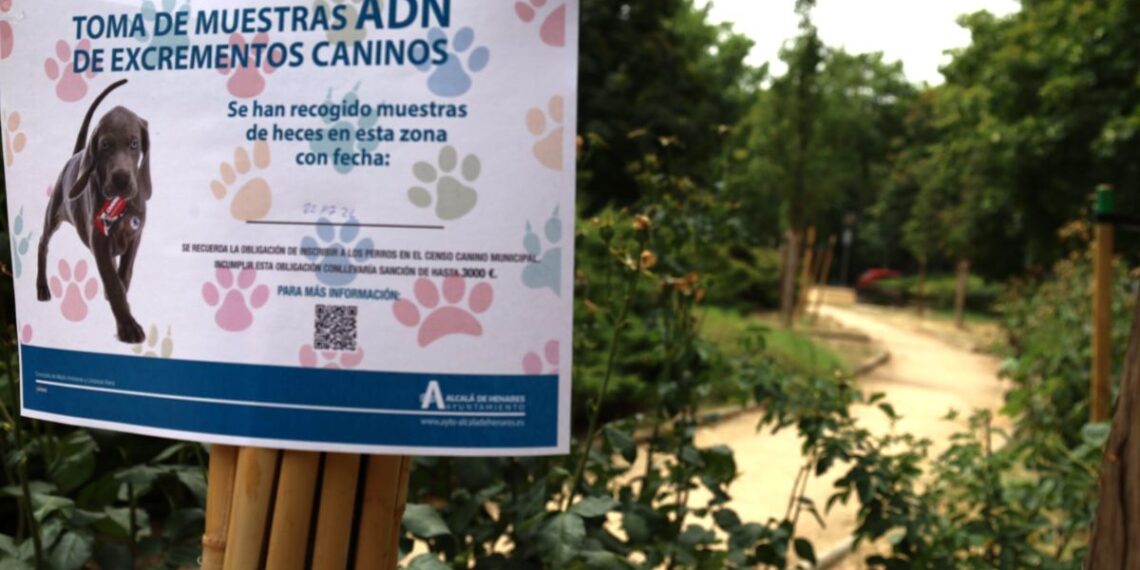 Foto: Ayuntamiento de Alcalá