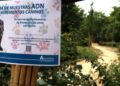 Alcalá intensifica los controles de ADN canino: casi 400 expedientes y multas de hasta 3.000 euros