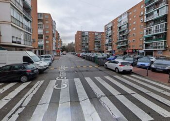 El asfaltado de Gran Canal altera el tráfico y tres líneas de autobús hasta el 14 de agosto