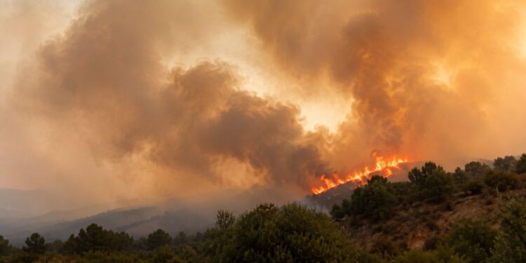 ¿Hay humo o cenizas en tu zona? Cómo protegerse de los incendios que afectan a Madrid 1 incendio 4