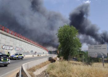 Un incendio junto a la línea Madrid-Barcelona suspende la alta velocidad entre Mejorada del Campo y Alcalá de Henares
