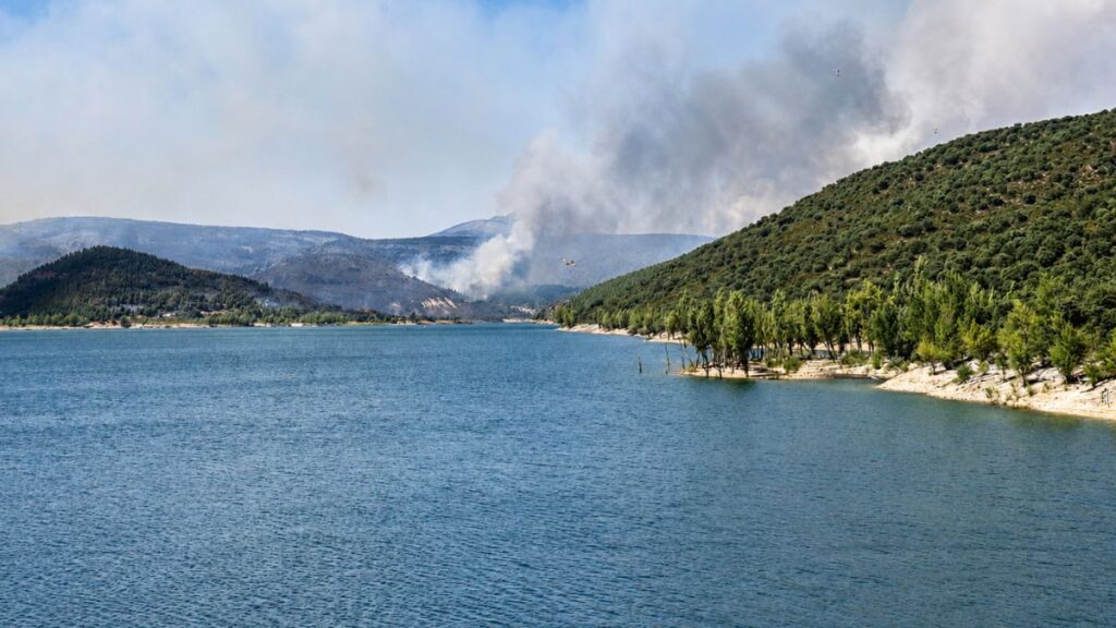 incendio la mierla