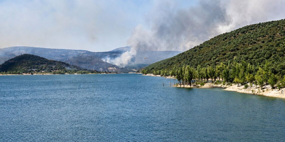 incendio la mierla