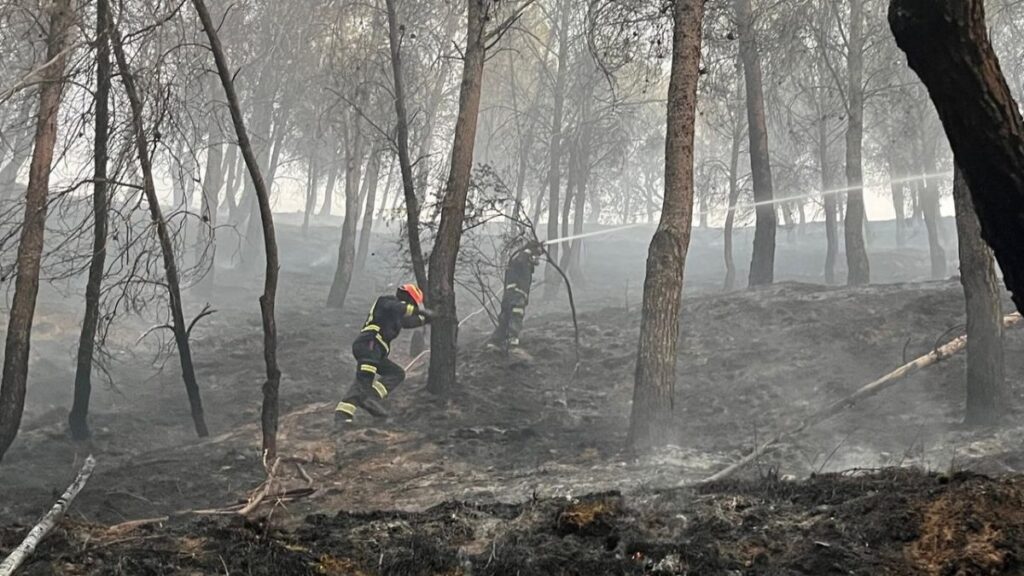 incendio los cerros