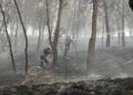 Un rayo provoca un incendio en Los Cerros de Alcalá en una tarde de viento y tormentas