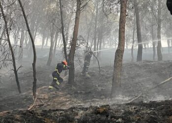 Un rayo provoca un incendio en Los Cerros de Alcalá en una tarde de viento y tormentas