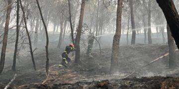 Un rayo provoca un incendio en Los Cerros de Alcalá en una tarde de viento y tormentas