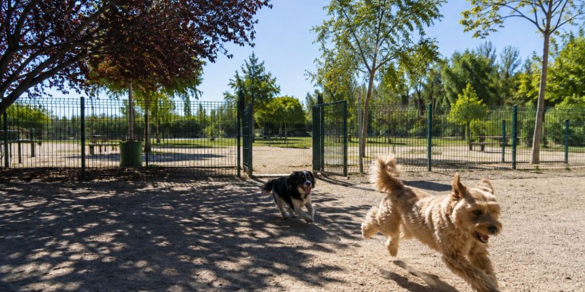 parque perros