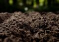 Una planta experimental de Alcalá transforma residuos orgánicos en 100 toneladas de abono para suelos agrícolas