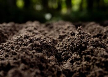 Una planta experimental de Alcalá transforma residuos orgánicos en 100 toneladas de abono para suelos agrícolas