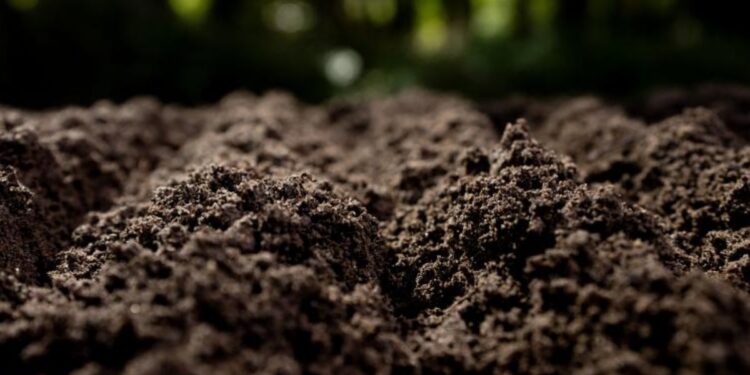 Una planta experimental de Alcalá transforma residuos orgánicos en 100 toneladas de abono para suelos agrícolas 1 Foto: Comunidad de Madrid