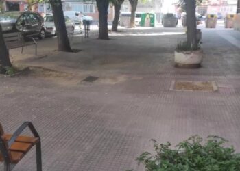 Alcalá se suma al mapa ciudadano que localizará alcorques vacíos, árboles secos y zonas con falta de arbolado