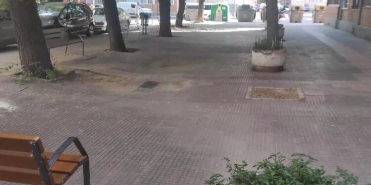 alcorques