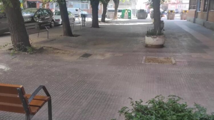 alcorques