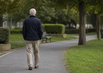 Los pensionistas de Alcalá que viven de alquiler pueden pedir un complemento de 525 euros en 2026 6 Los pensionistas de Alcalá que viven de alquiler pueden pedir un complemento de 525 euros en 2026
