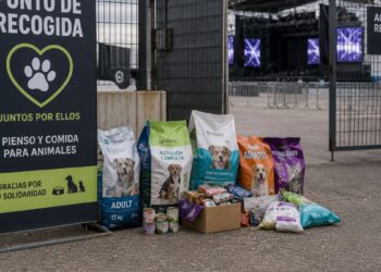 Los Conciertos de la Muralla recogerán pienso y donativos para cinco protectoras durante sus citas en Alcalá