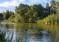 Sanidad recuerda que el río Henares en Alcalá no figura entre las zonas naturales autorizadas para el baño