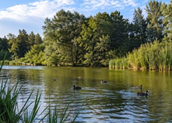 Sanidad recuerda que el río Henares en Alcalá no figura entre las zonas naturales autorizadas para el baño