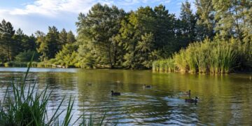 Sanidad recuerda que el río Henares en Alcalá no figura entre las zonas naturales autorizadas para el baño
