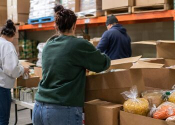 El Banco de Alimentos busca voluntarios en Alcalá durante agosto y septiembre: requisitos y cómo participar 4 El Banco de Alimentos busca voluntarios en Alcalá durante agosto y septiembre: requisitos y cómo participar