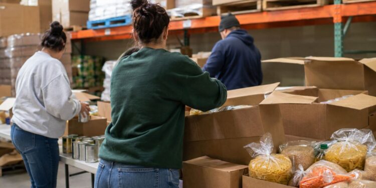 voluntarios banco alimentos
