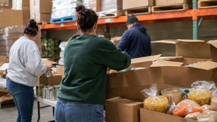 voluntarios banco alimentos
