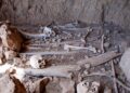 Más de 8.000 insectos permiten a un investigador de la UAH descubrir la historia oculta de una cueva funeraria