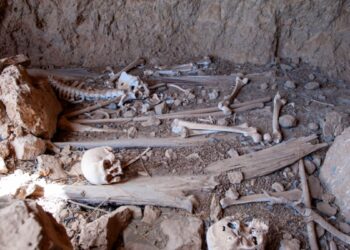 Más de 8.000 insectos permiten a un investigador de la UAH descubrir la historia oculta de una cueva funeraria