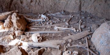 Más de 8.000 insectos permiten a un investigador de la UAH descubrir la historia oculta de una cueva funeraria