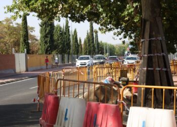 El Camino de los Afligidos entra en su recta final con un nuevo resalto solicitado por vecinos