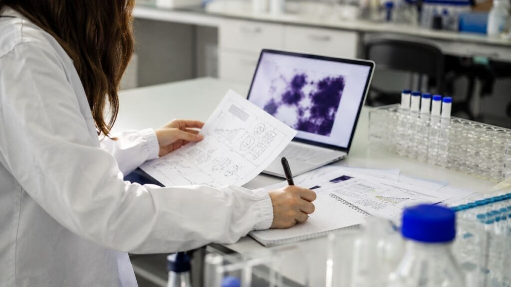 contratos predoctorales