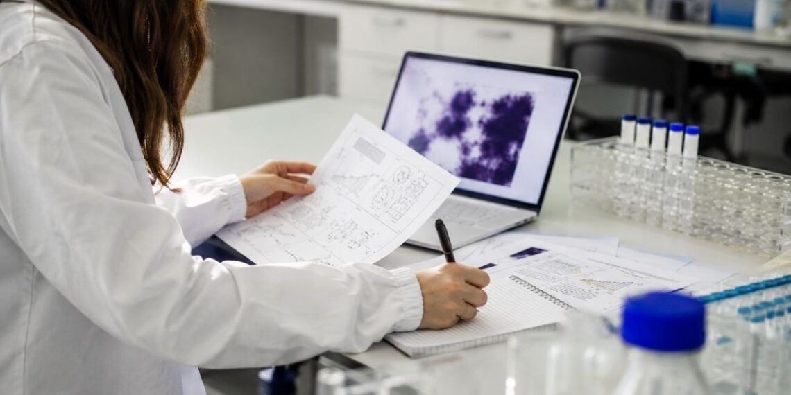 contratos predoctorales