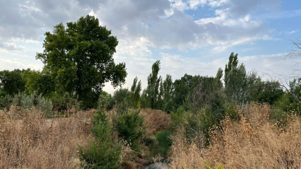 gran parque espartales