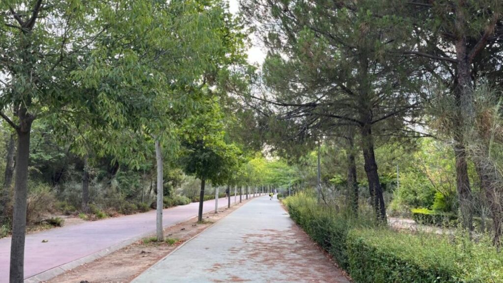 paseo parque del camarmilla