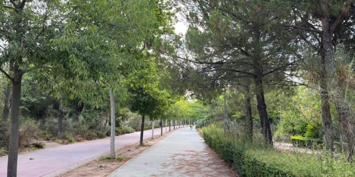Foto: Ayuntamiento de Alcalá