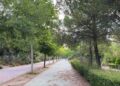 El Parque del Camarmilla tendrá un paseo guiado para conocer su vegetación y sus valores ambientales