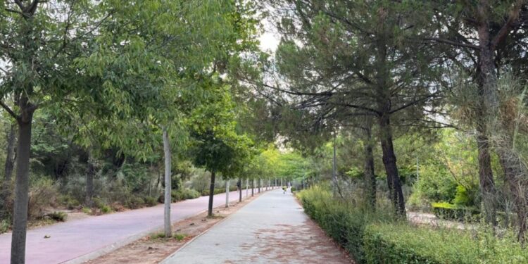 Foto: Ayuntamiento de Alcalá