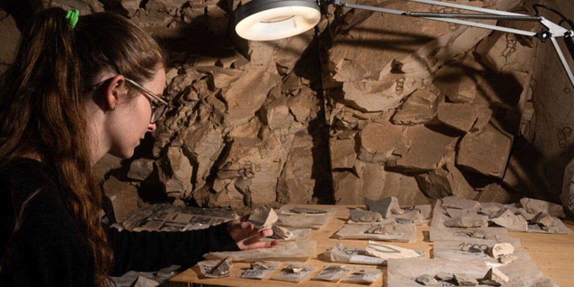 La UAH lleva sus excavaciones en Egipto al Colegio de Málaga con fotografías, estudios y réplicas arqueológicas 1 Foto: Universidad de Alcalá
