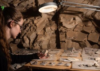 La UAH lleva sus excavaciones en Egipto al Colegio de Málaga con fotografías, estudios y réplicas arqueológicas 2 La UAH lleva sus excavaciones en Egipto al Colegio de Málaga con fotografías, estudios y réplicas arqueológicas