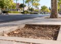 Un mapeo ciudadano detecta más de 2.200 alcorques con deficiencias en Alcalá y reclama mejoras del arbolado