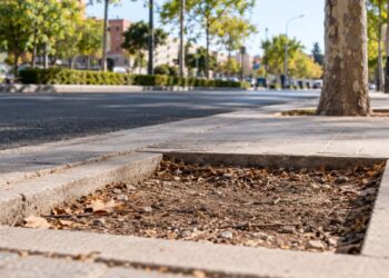 Un mapeo ciudadano detecta más de 2.200 alcorques con deficiencias en Alcalá y reclama mejoras del arbolado