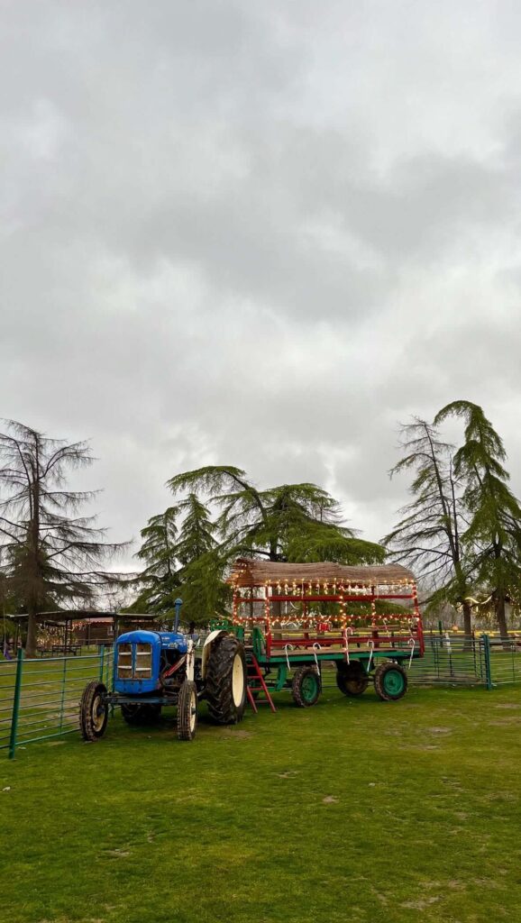 La Casita de Navidad vuelve a Alcalá de Henares con visitas a Papá Noel, los Reyes Magos y actividades familiares 3 833392352 1632837864952342 6112175574300195457 n