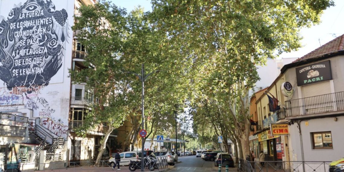 Alcalá aprueba la renovación del saneamiento de la avenida de Guadalajara entre Alonso Martínez y Diego de Urbina 1 Alonso Martinez y Diego de Urbina