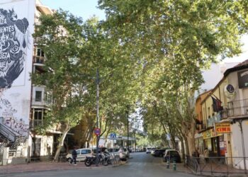 Alcalá aprueba la renovación del saneamiento de la avenida de Guadalajara entre Alonso Martínez y Diego de Urbina
