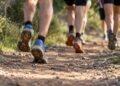 El Cross de la Universidad de Alcalá cierra este jueves las inscripciones para su carrera del sábado en el Botánico
