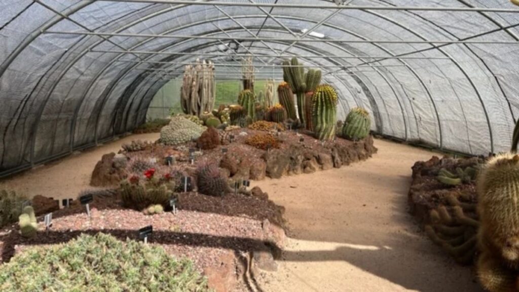 El Jardín Botánico de la Universidad de Alcalá reúne miles de especies y ofrece un recorrido por la naturaleza en otoño 1 El Jardin Botanico de la Universidad de Alcala